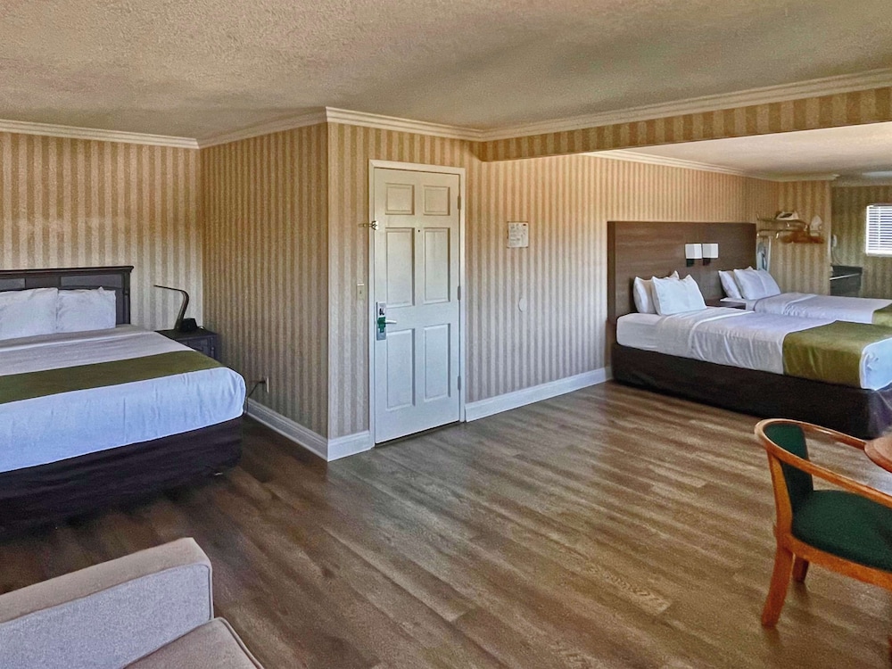FAMILY SUITE, 3 QUEEN BEDS