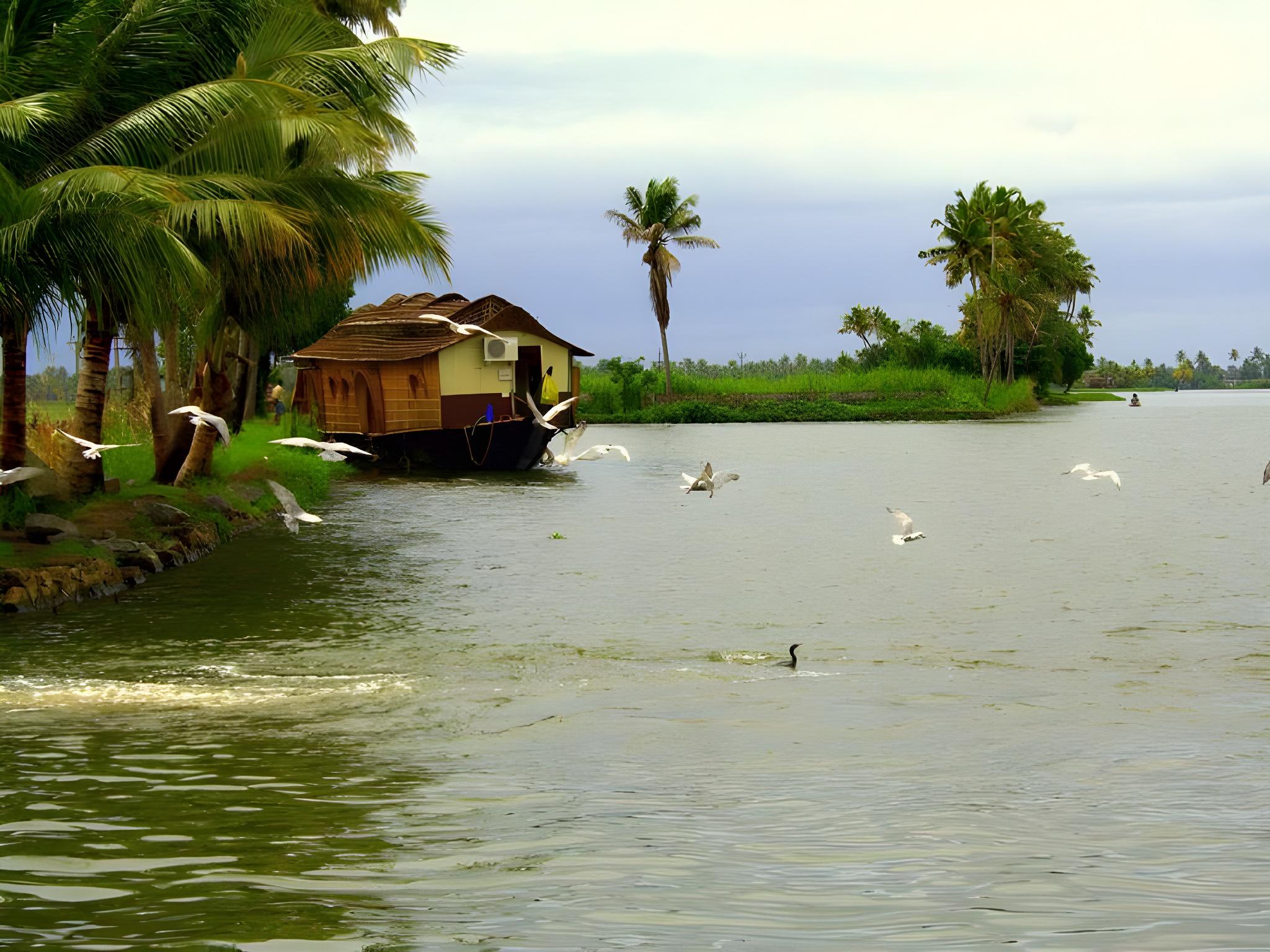 Sunny Days Homestay Champakkulam 8/10