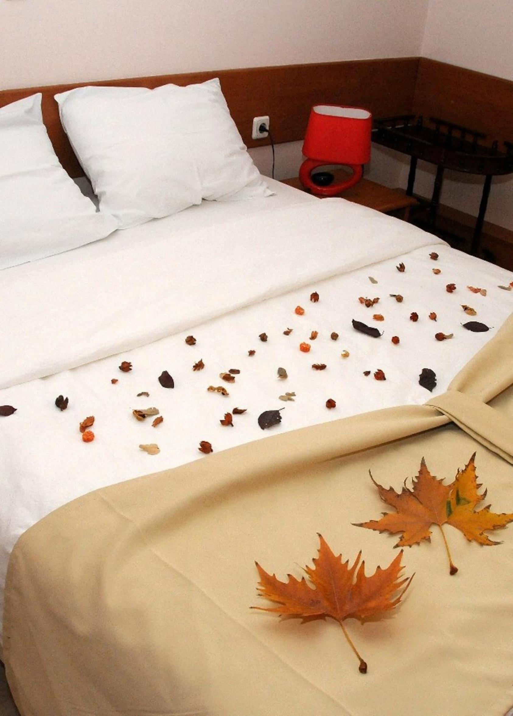 Hotel Tomce Sofka 28/48