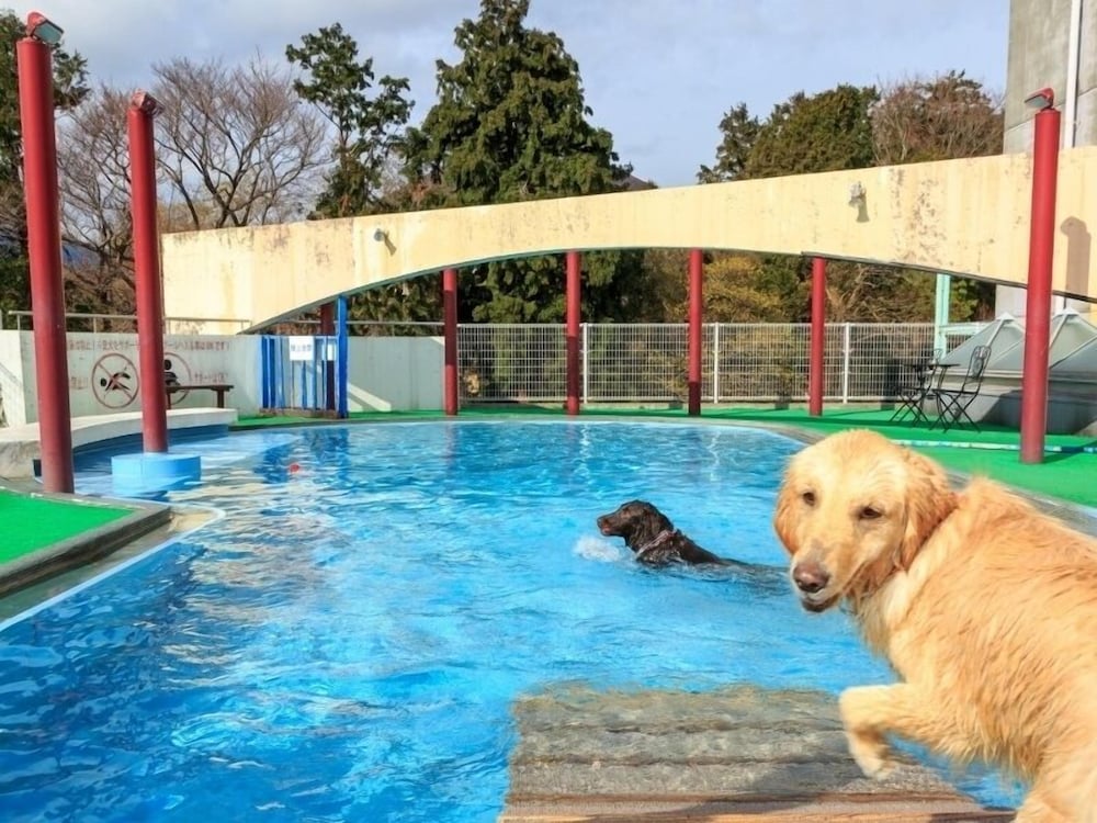 Izumigo Izukogen Dog Paradise Hotel 33/38