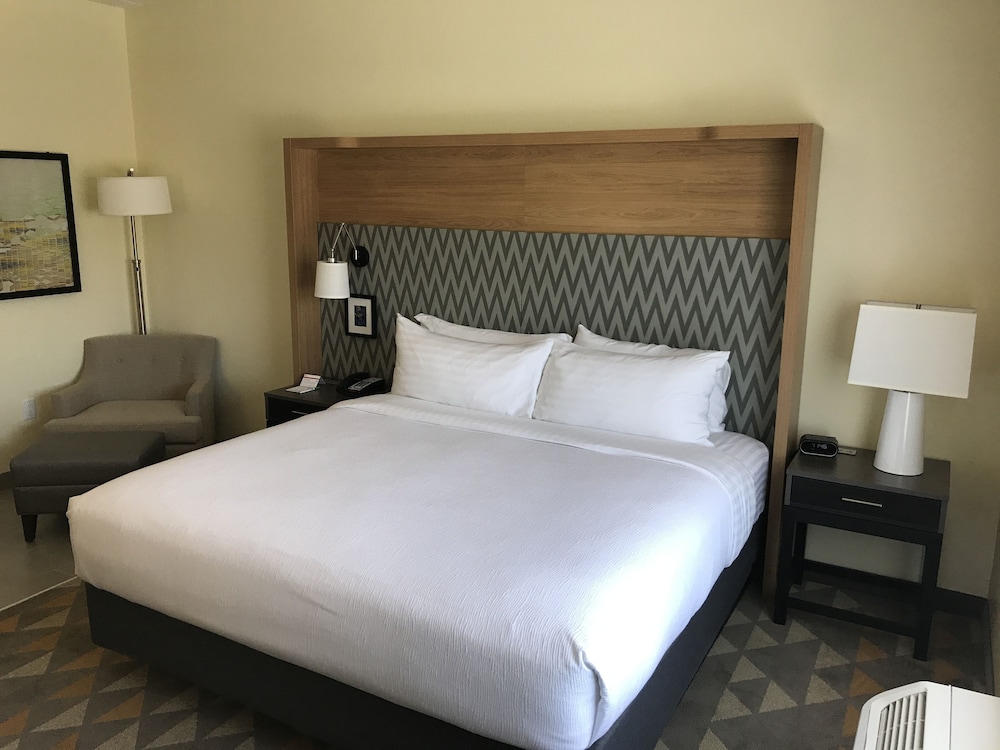 Holiday Inn & Suites Asheville-Biltmore Village Area 14/70