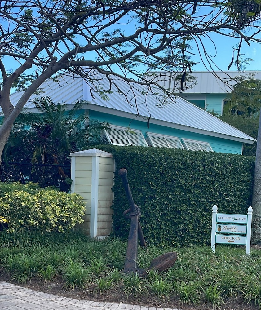 Dolphin Cove 3/50