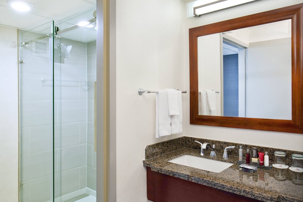 غرفة بسرير كينج بشرفة لذوي الإعاقة، Marriott Park Ridge 2/2