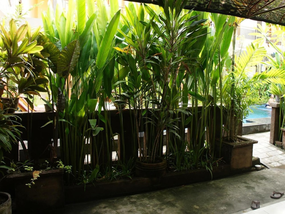 Waringin Home Stay 28/34