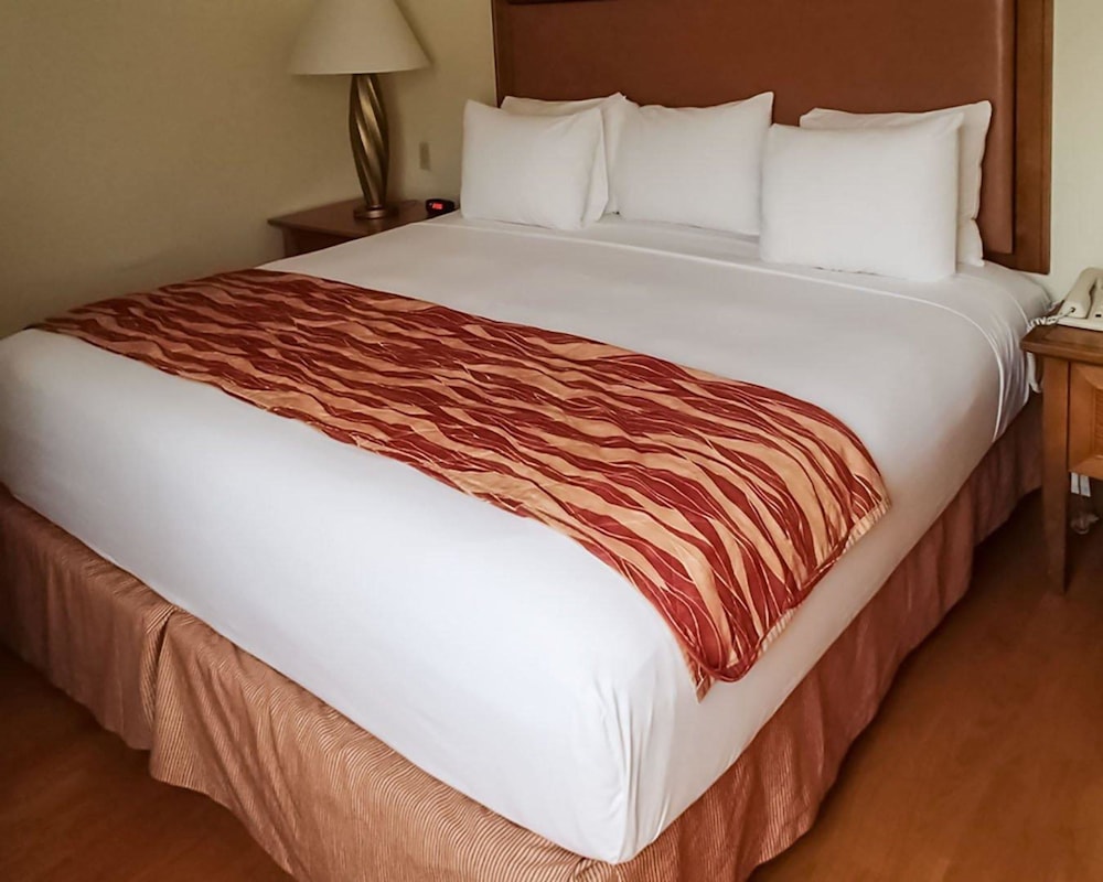 Rodeway Inn South Miami Coral Gables 19/39
