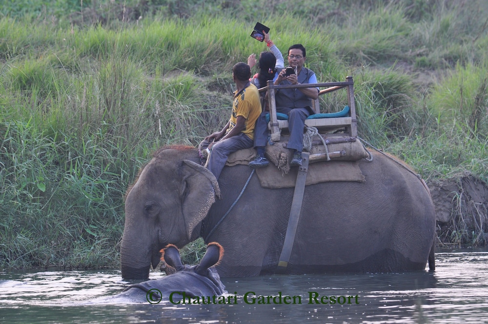 Chautari Garden Resort 41/62