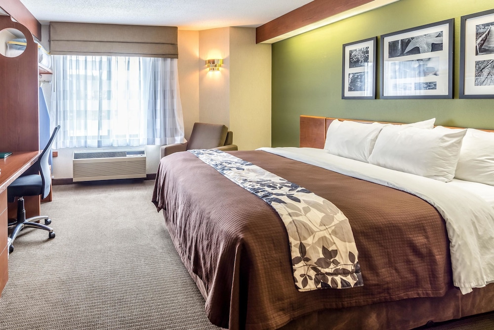 Standard, King Bed, Bay View