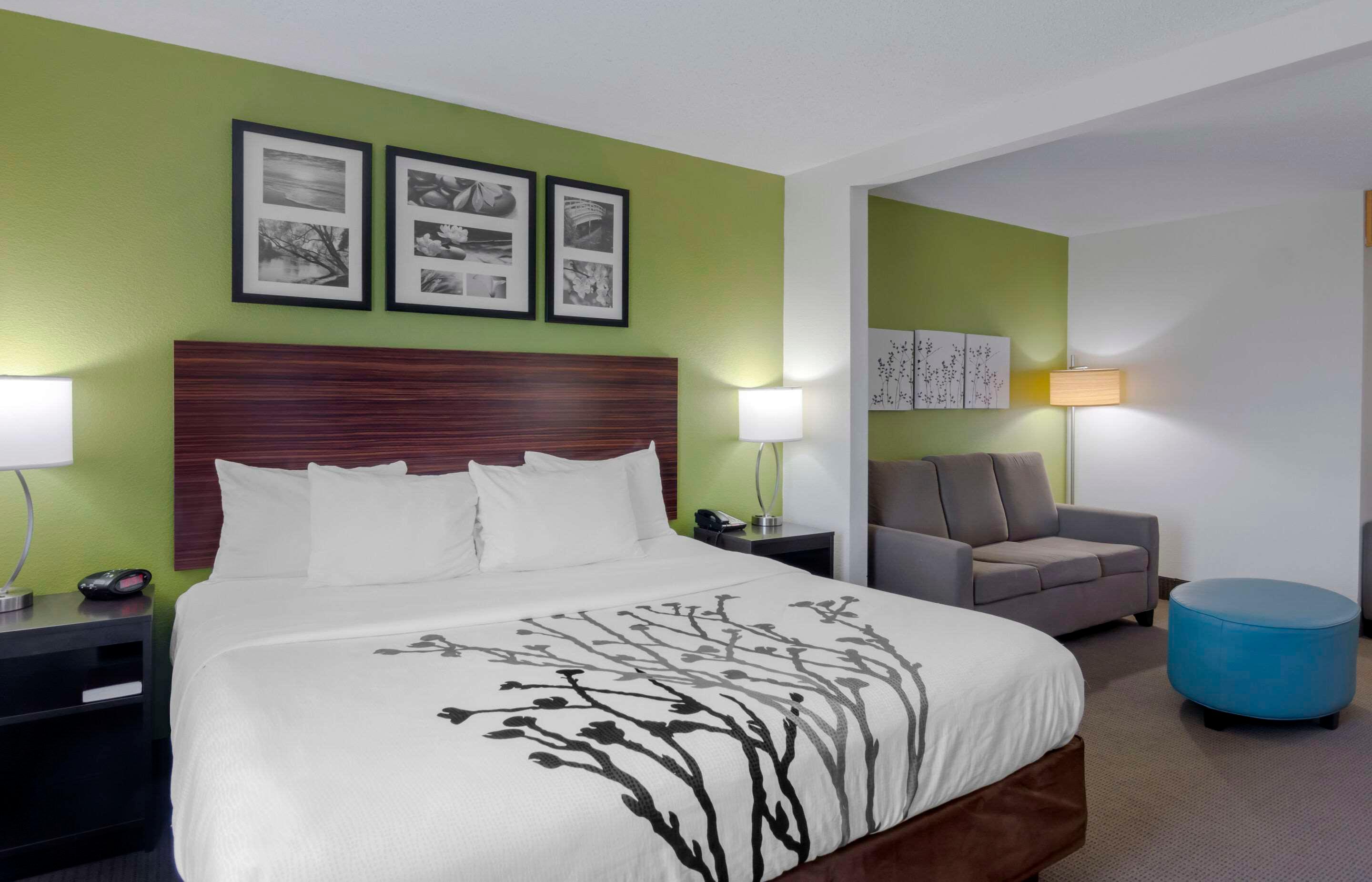 Efficiency, Suite, King Bed