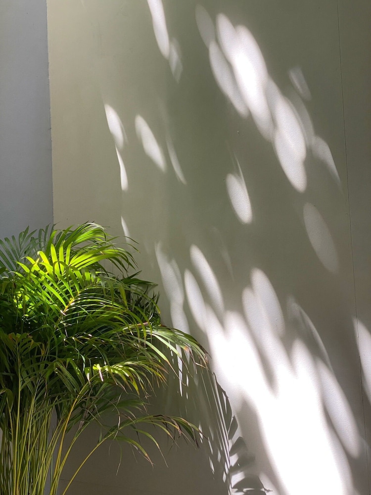 Suncloud Hotel Koh Samet 44/50