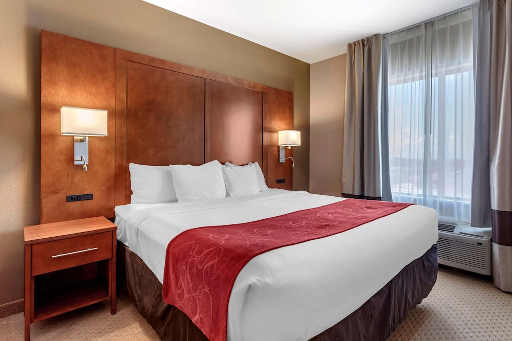 Comfort Suites Florence Shoals Area 11/46