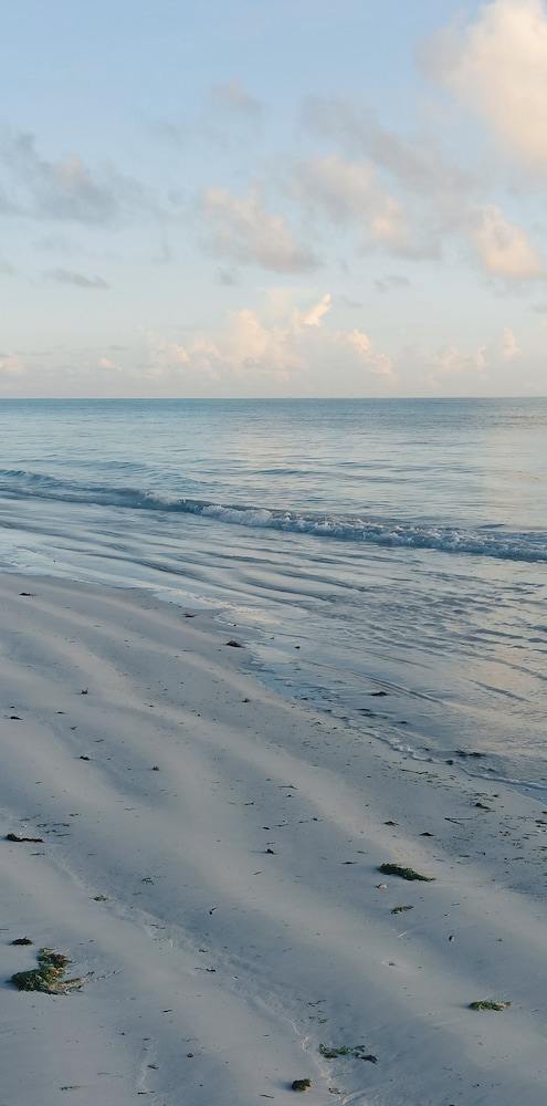 Arthotel Zanzibar 42/50