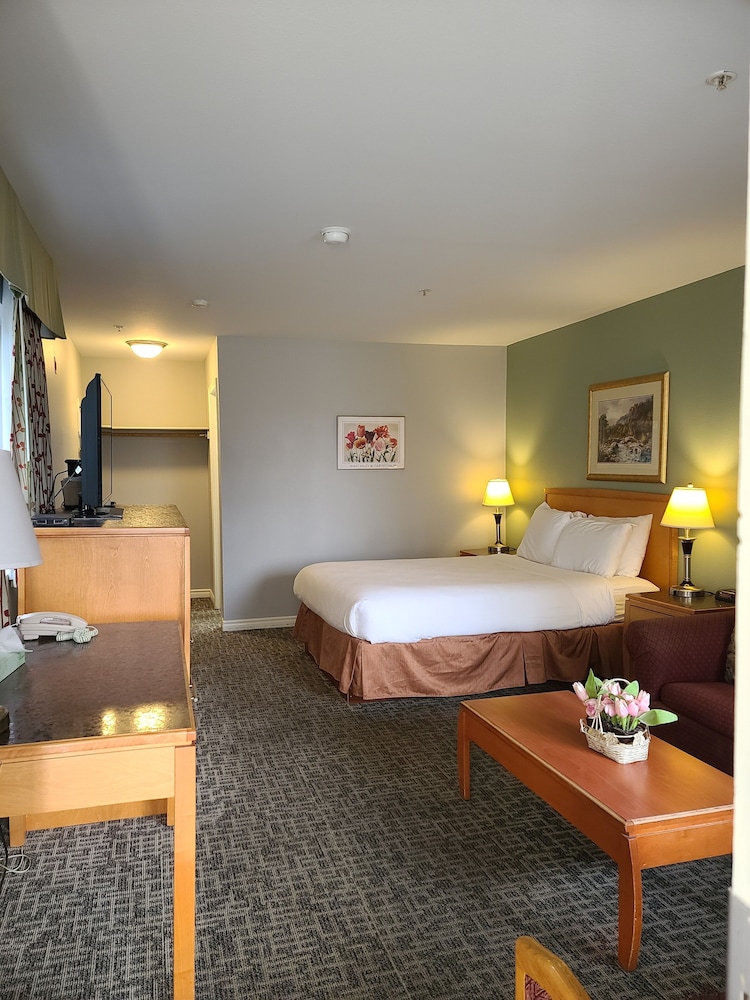 Tulip Inn 12/32