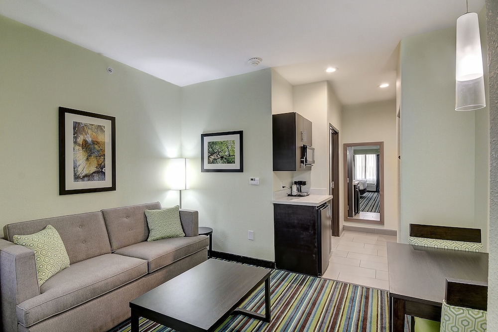 Holiday Inn Express And Suites Carrizo Springs 27/40