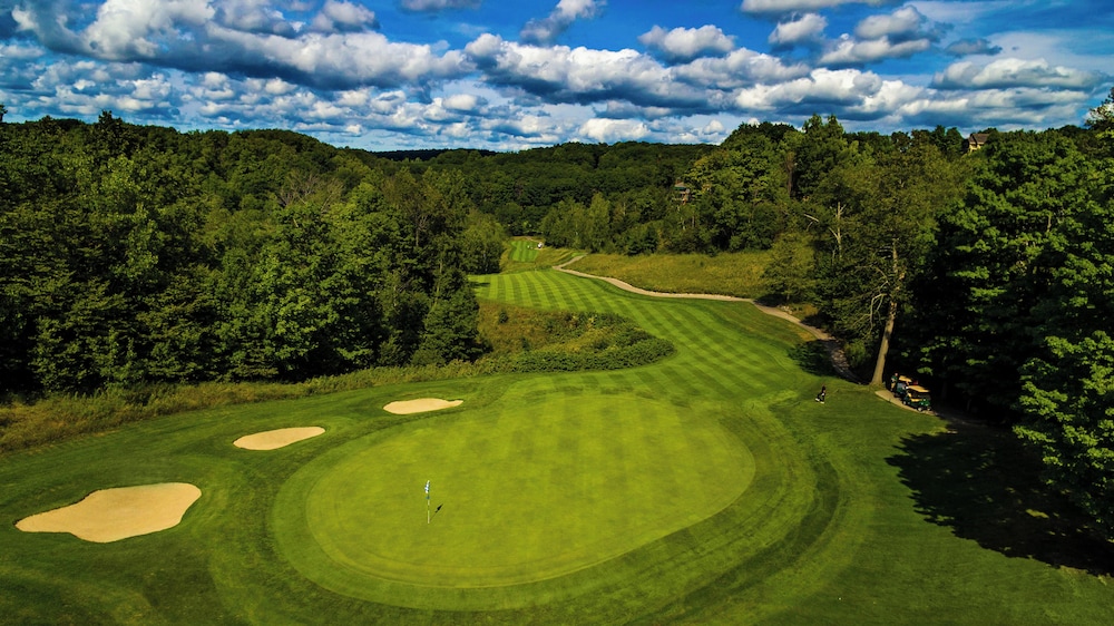 Shanty Creek Resorts - Summit Village 42/50