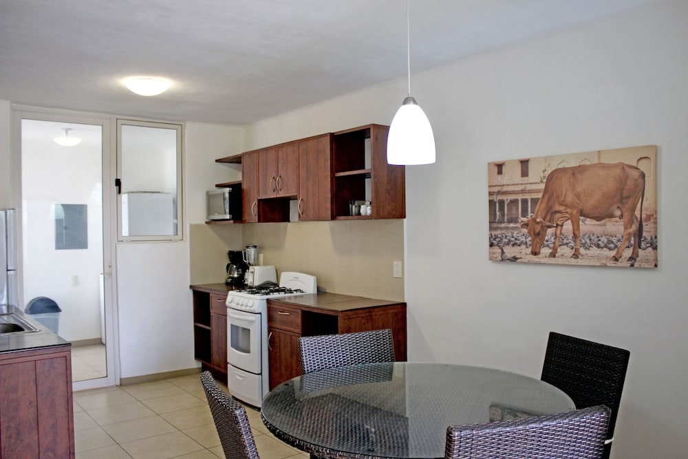 Zenharmony Suites Puerto Vallarta 5/19