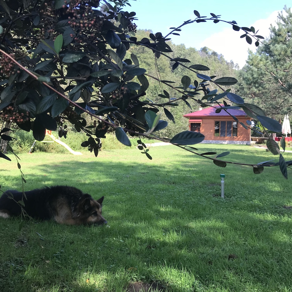 Pinar Kir Evi 45/48