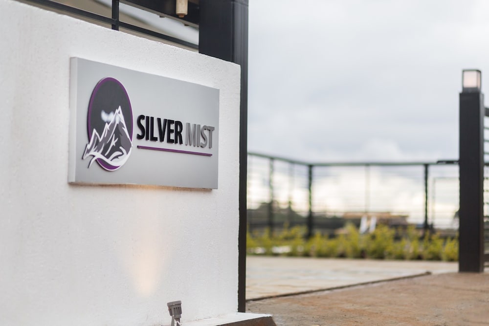 Silver Mist 29/48