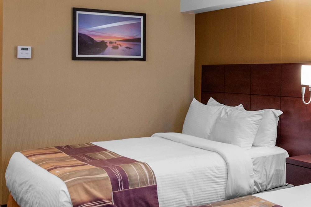 Quality Hotel & Suites Gander 12/37