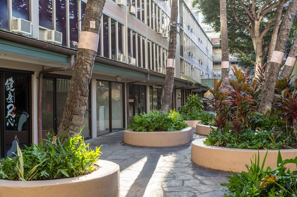 Kuhio Banyan Club 53/59