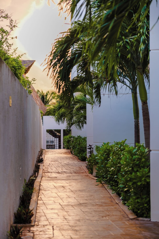 Azulea Isla Mujeres 57/64
