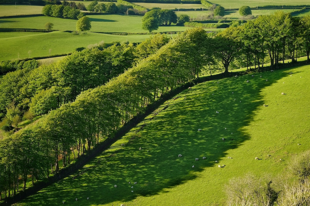 Exmoor White Horse Inn 61/78