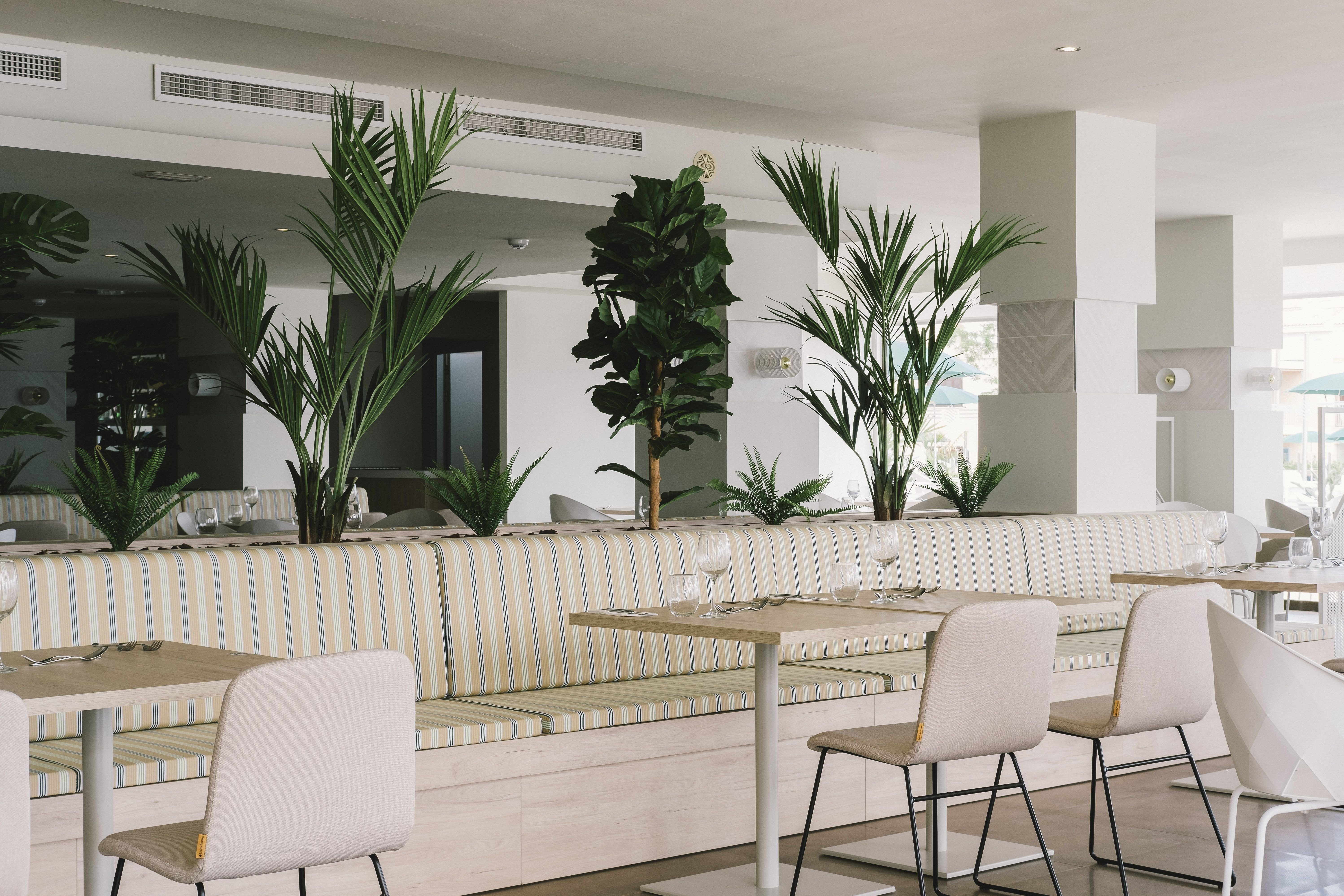 AluaSoul Palma Hotel - Adults only 28/36