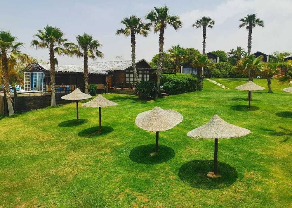 Turquoise Beach Resort Tyre 37/50
