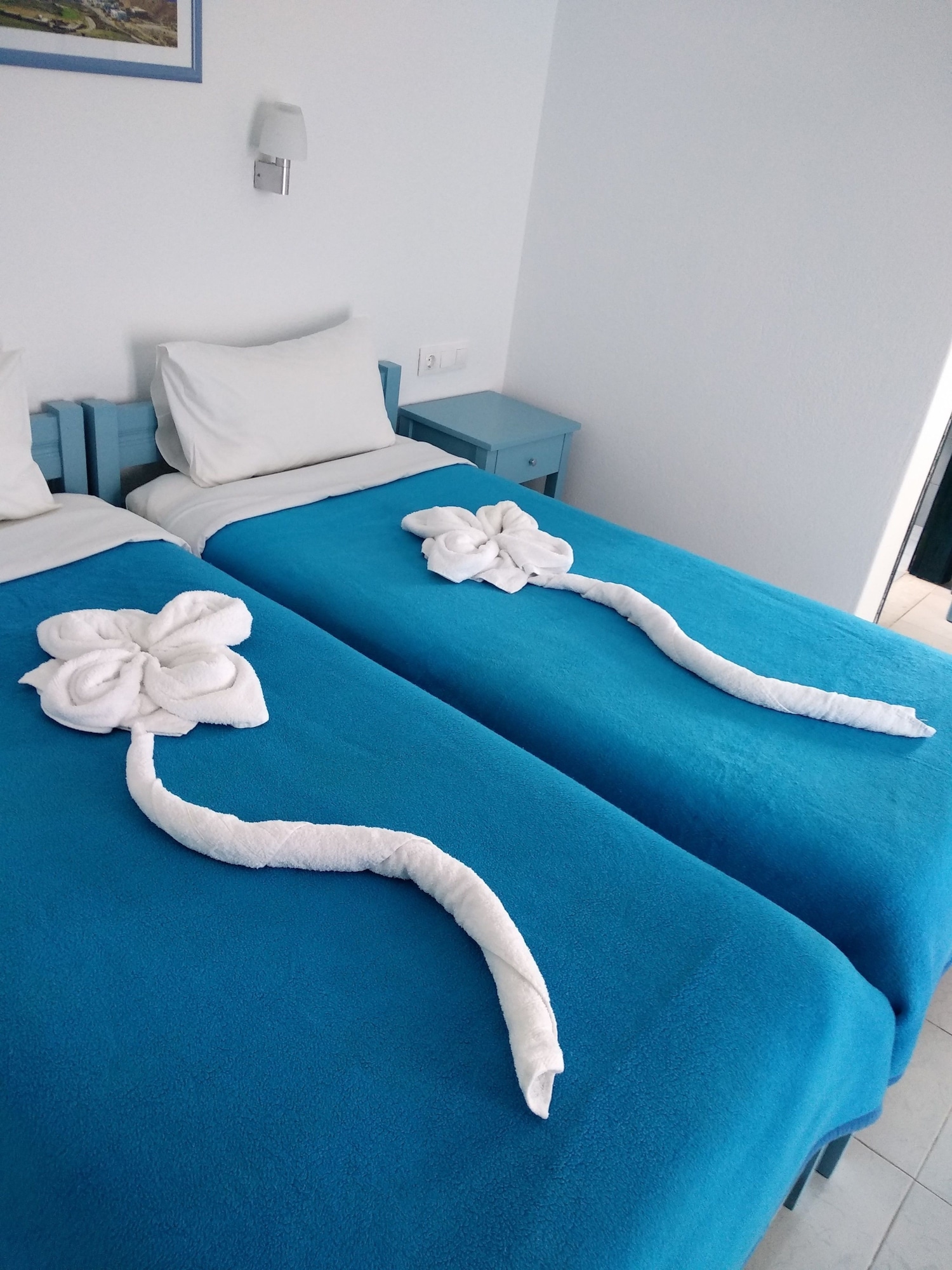 STANDARD, DOUBLE OR TWIN BED