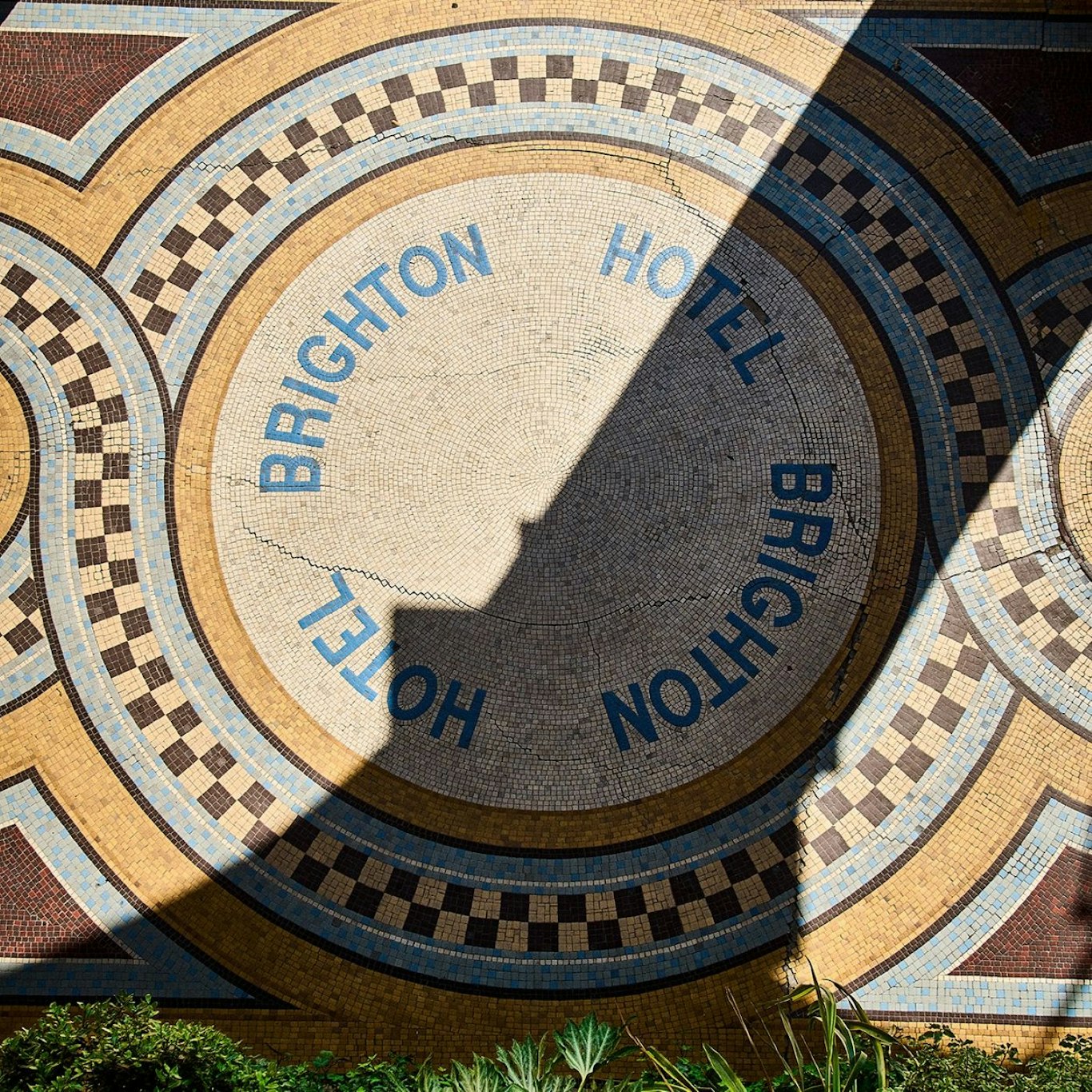 Brighton 2/59
