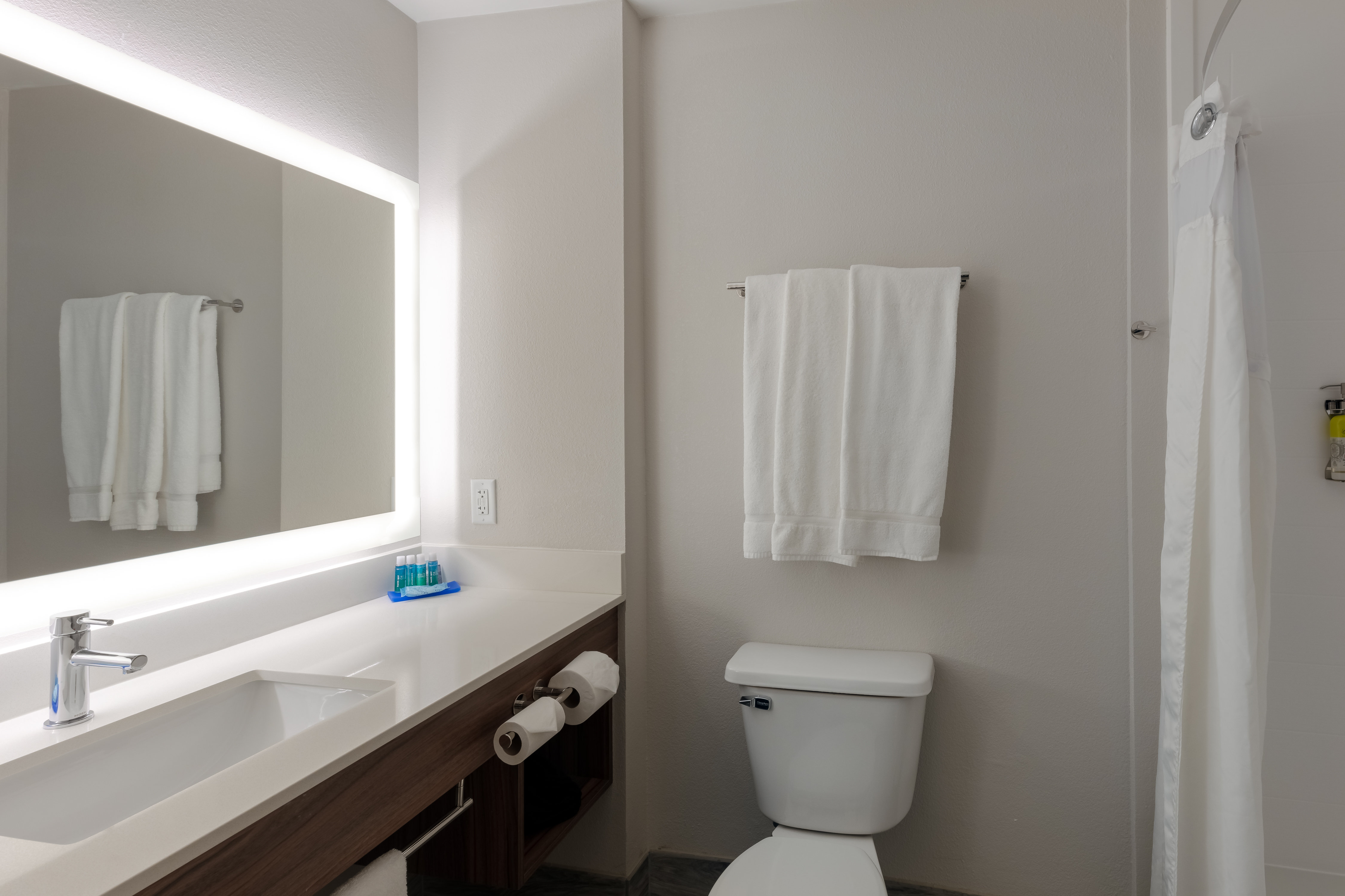 Holiday Inn Express Alpharetta Roswell 66/68