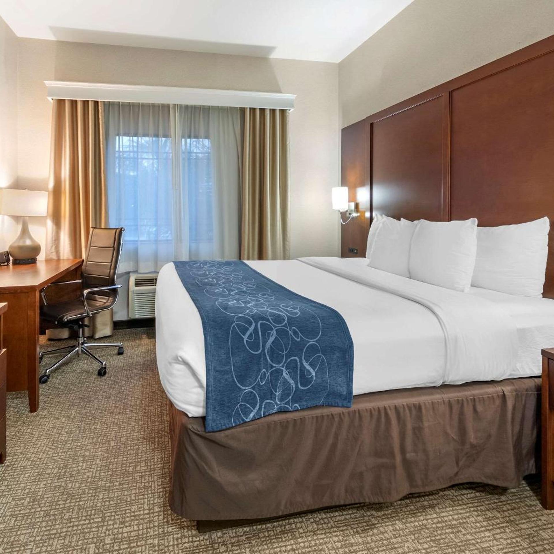 Business, Suite, King Bed, Bathtub, Accessible