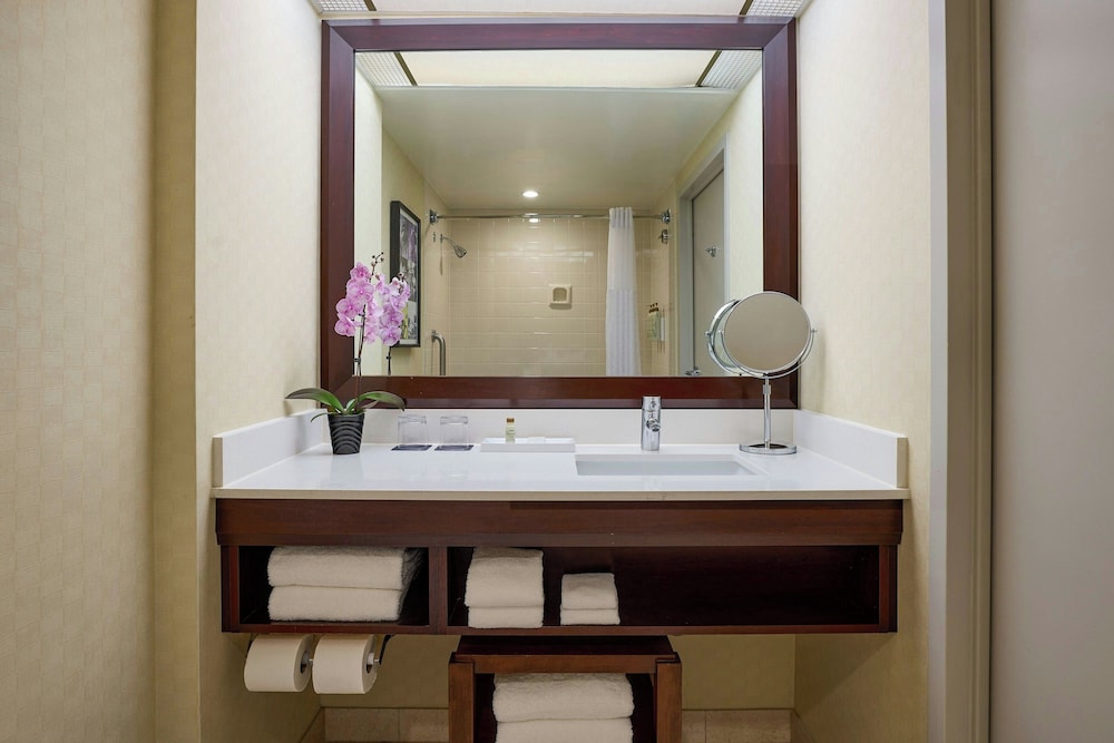 1 Bedroom, Executive, Suite, Double Bed