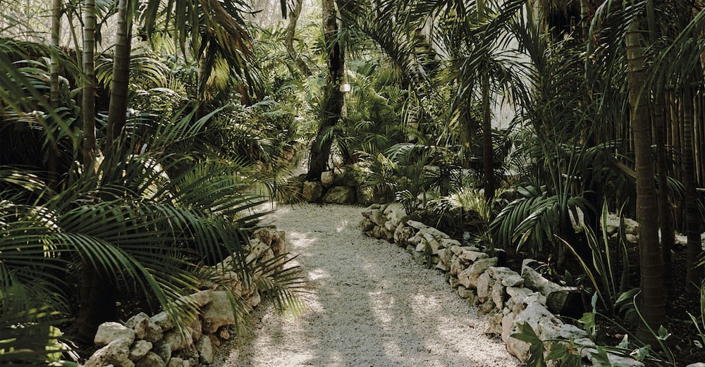 Una Vida Tulum 43/50
