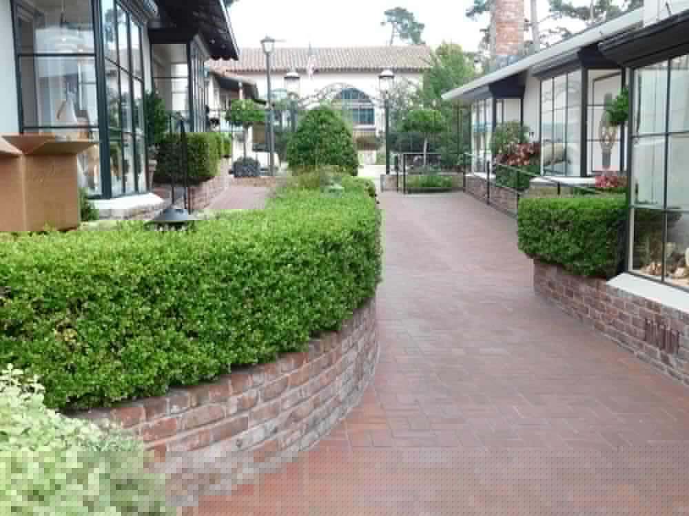 Pine Inn 52/56