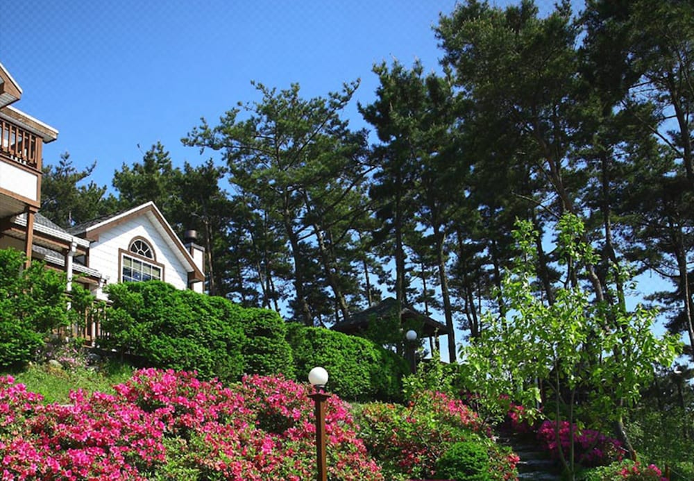 Taean Petit Maison Pension 44/50