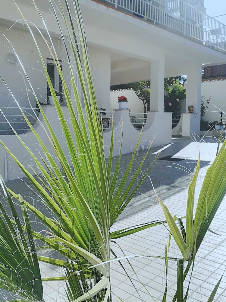 Villa Sece - Luxury Rooms 1/50