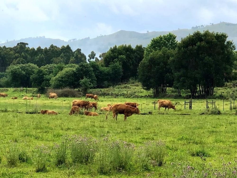 Hotel Rural e Glamping Solar das Arcadas 35/50
