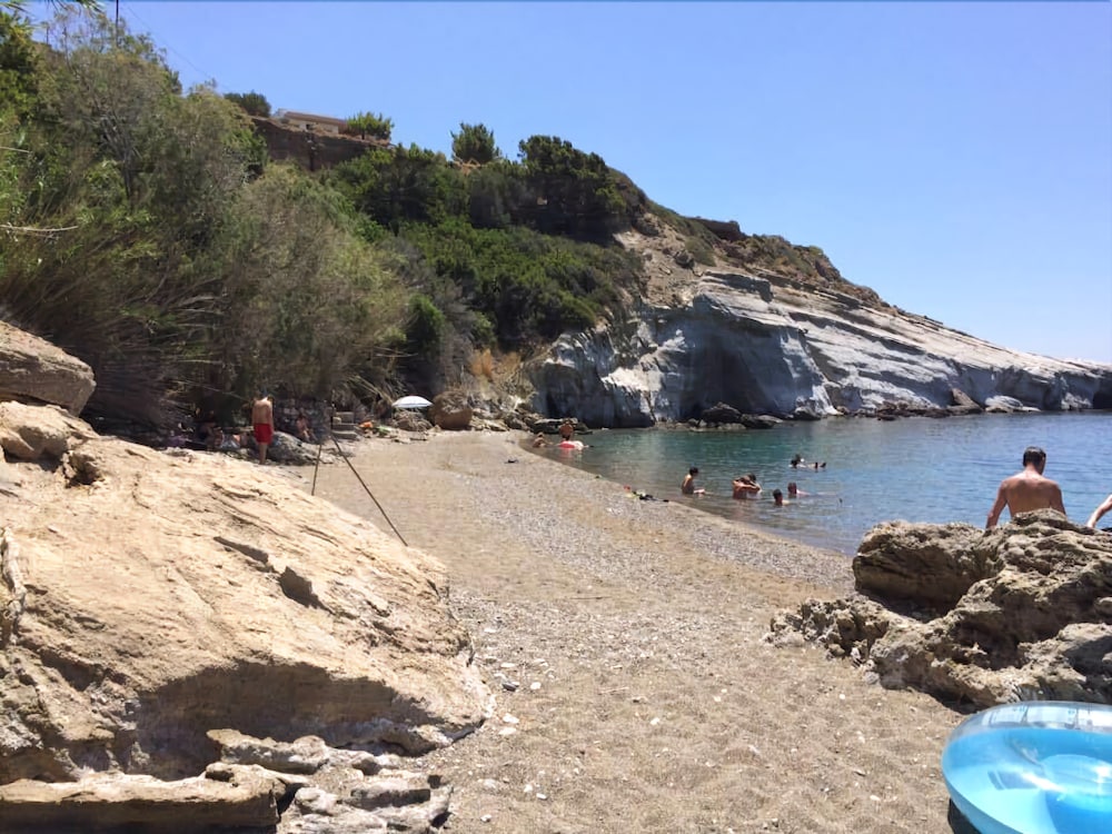 Elenas Beach Garden 11/16