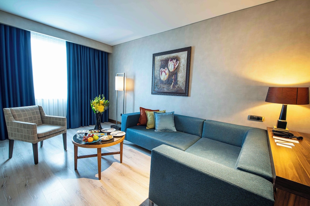 Dedeman Konya Hotel & Convention Center 53/72
