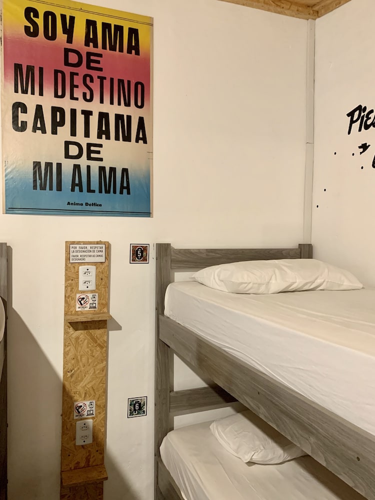 FEMALE DORM, FEMALE ONLY, 6 BEDS, PRIVATE BATHROOM