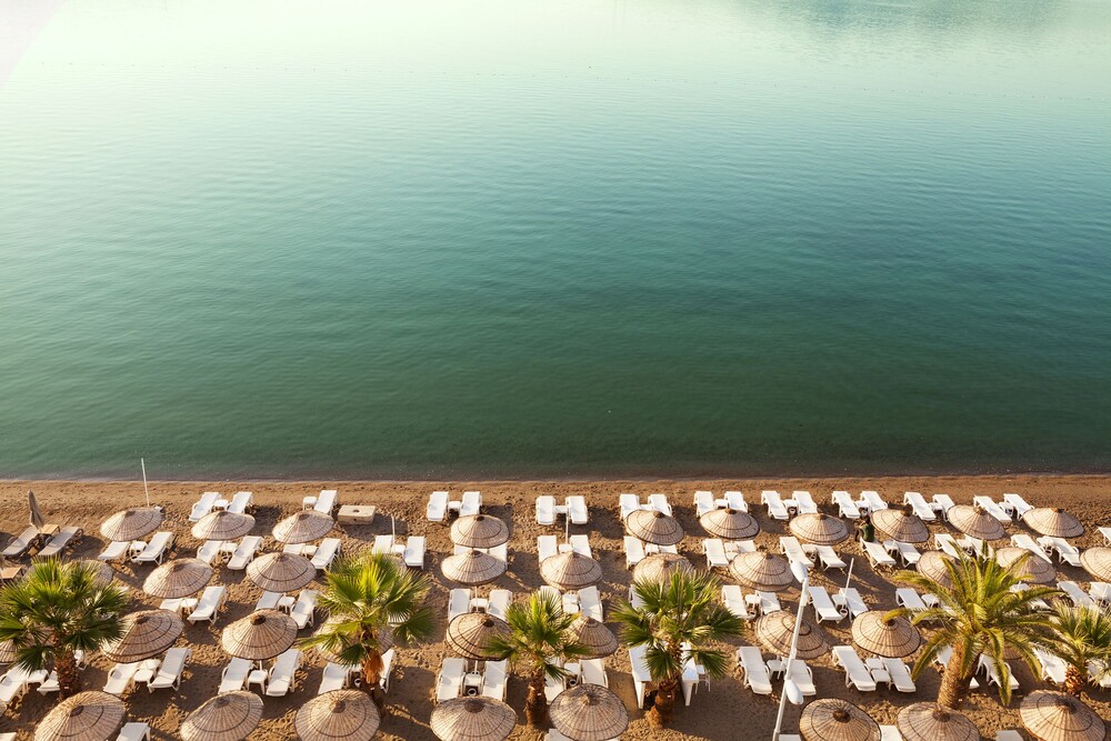 The Beachfront Hotel - Adults Only +16 43/49
