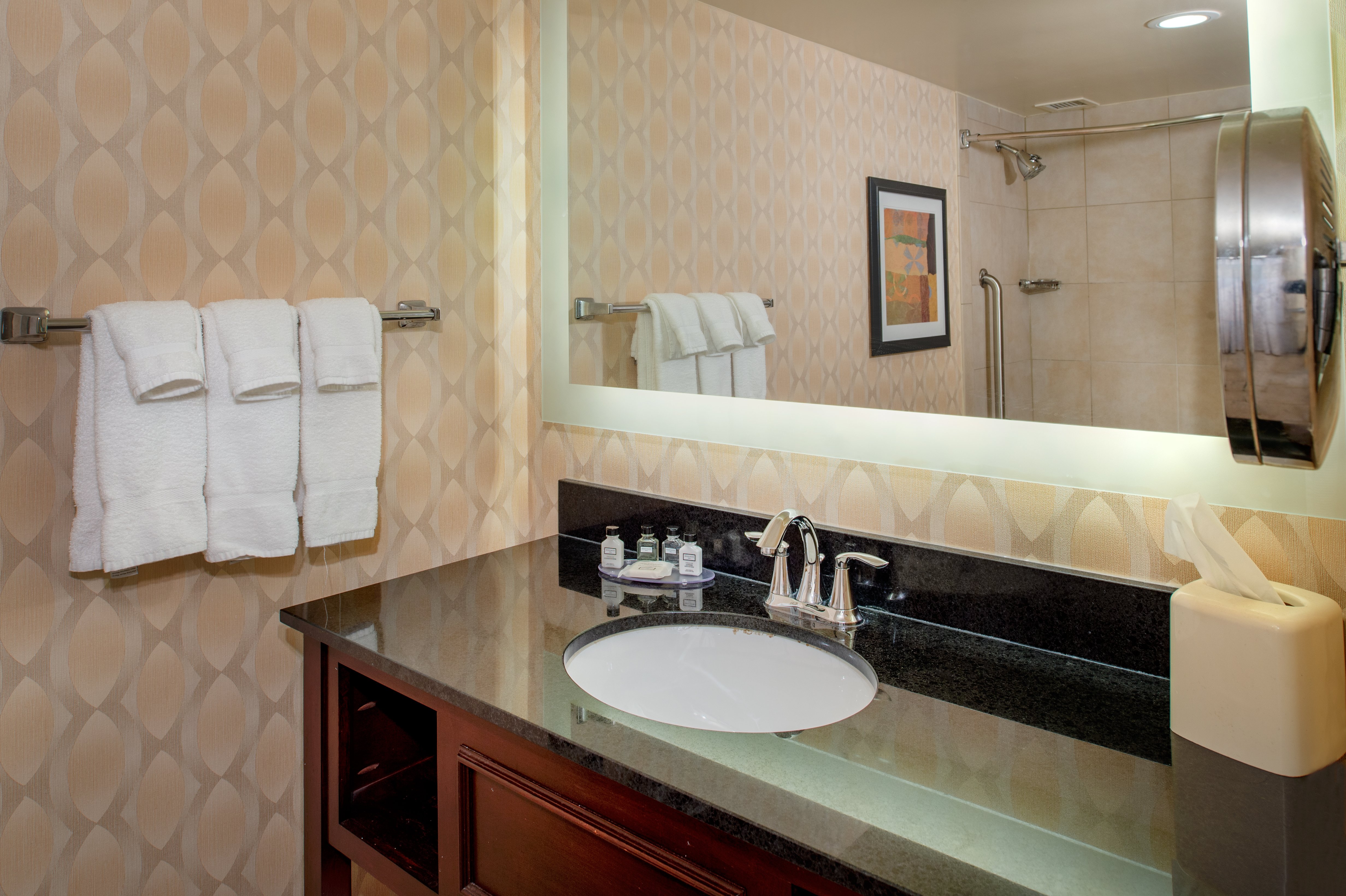 Crowne Plaza St. Louis Airport 69/71