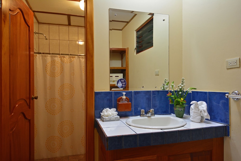 Arenal Observatory Lodge Spa 28/77
