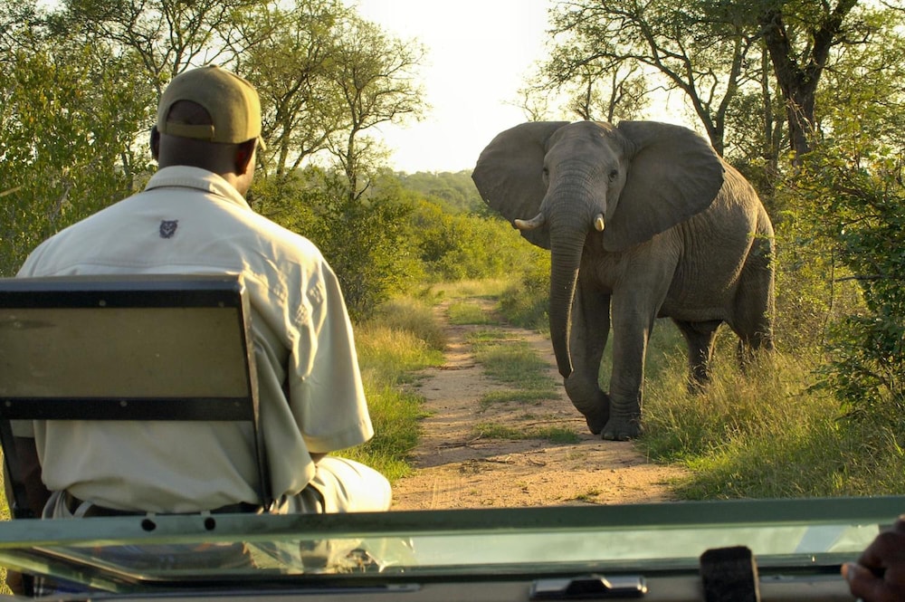 Lukimbi Safari Lodge 44/49