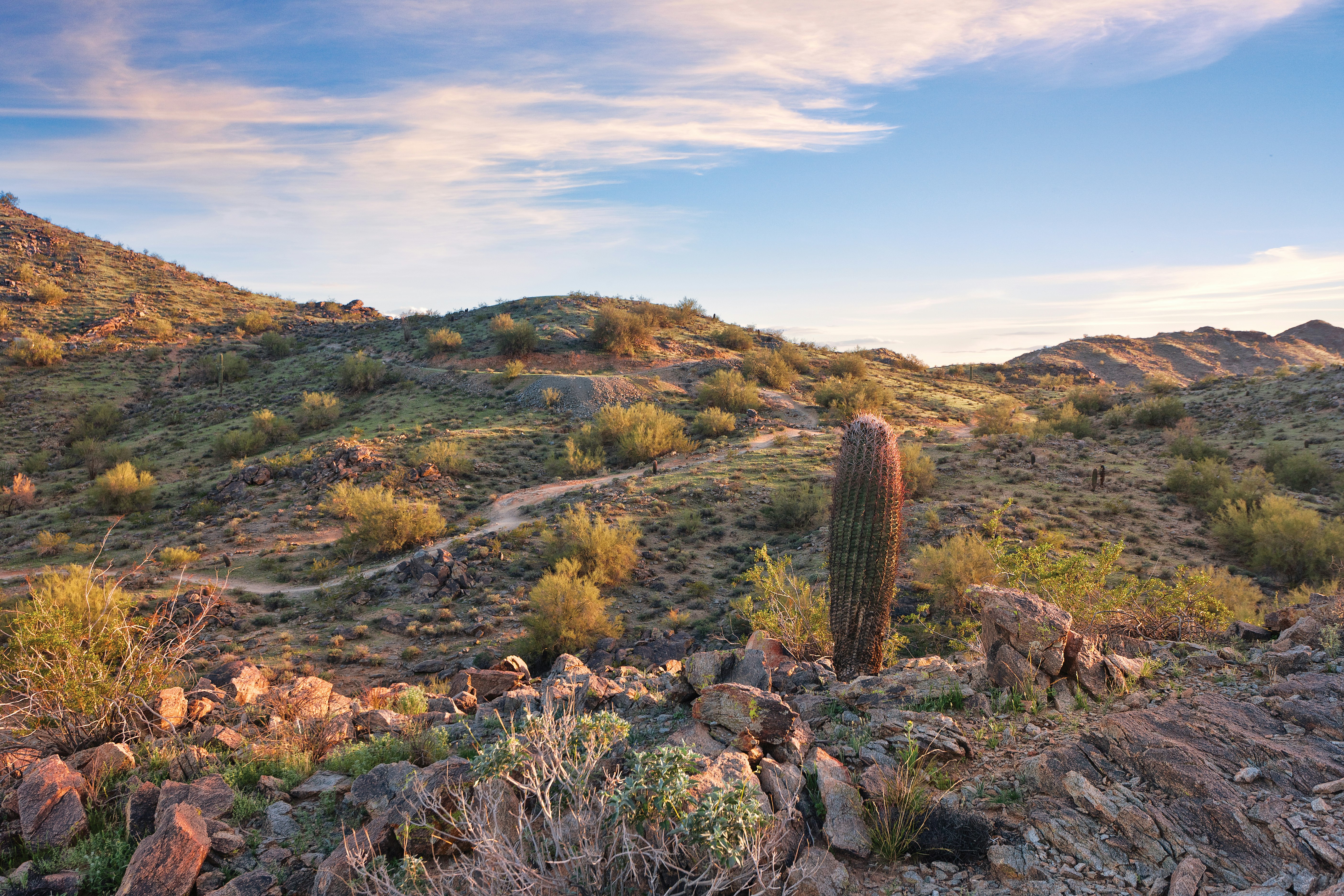 Worldmark Phoenix South Mountain Preserve 26/50