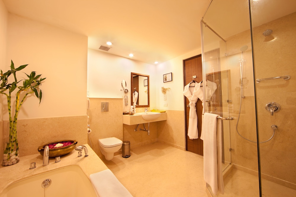 Lemon Tree Hotel Electronics City Bengaluru 30/61