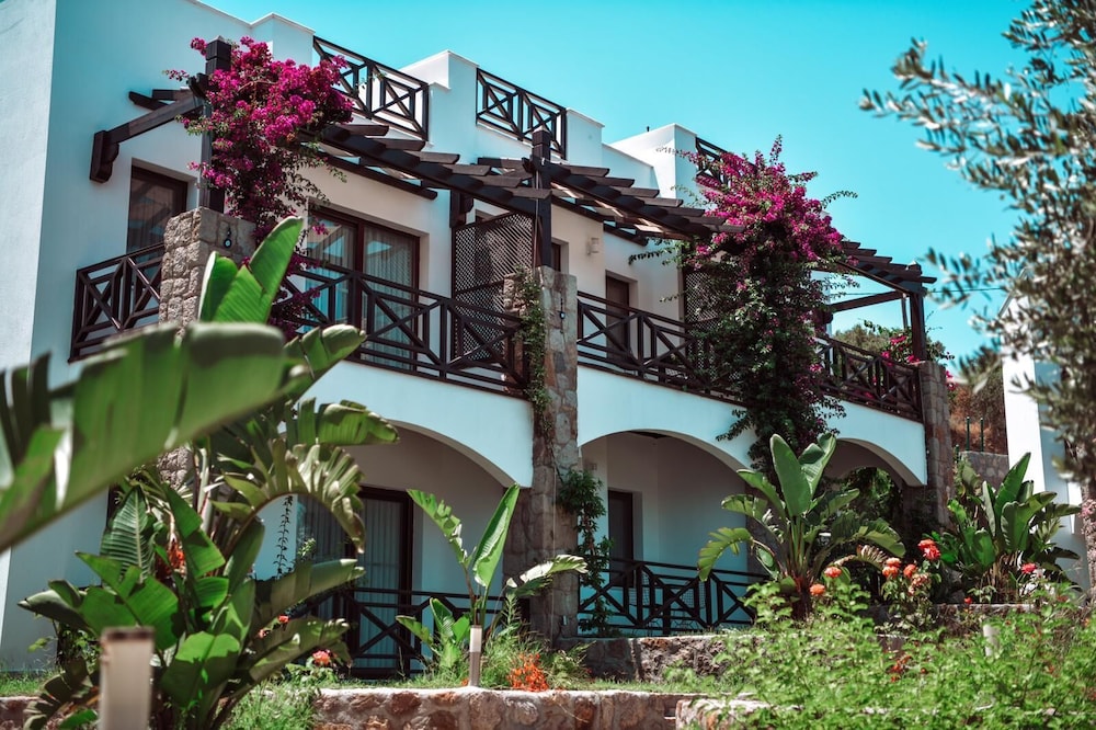 Amore Boutique Hotel 2/50