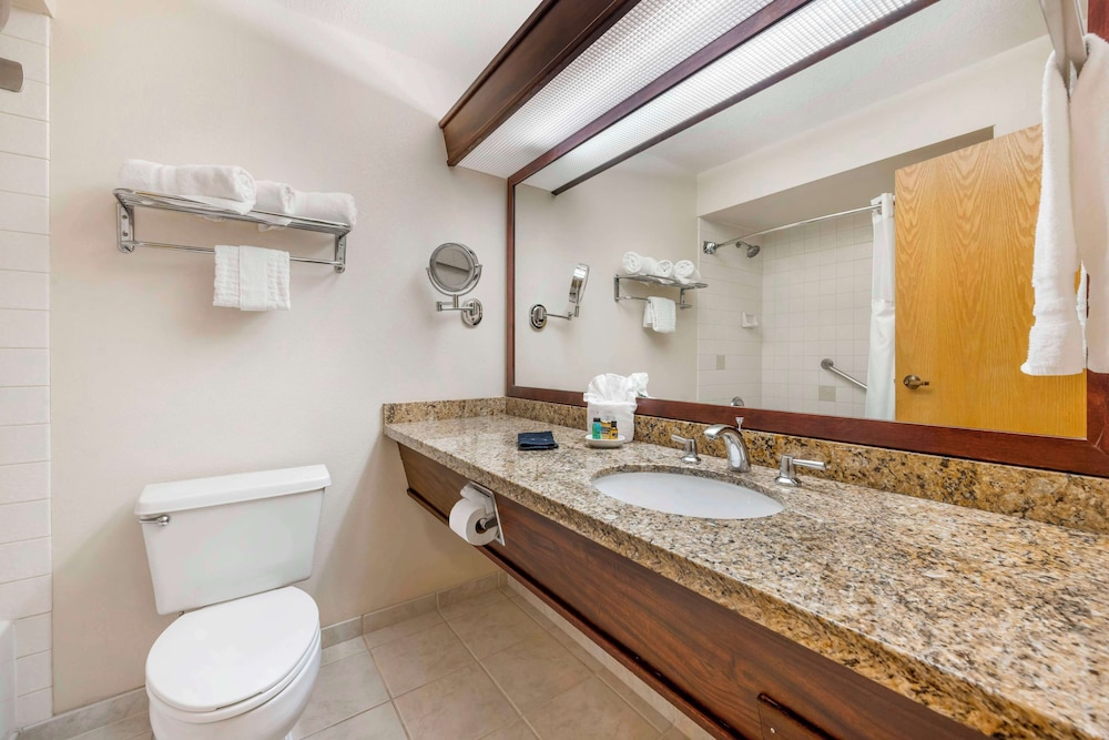 غرفة قياسية بسرير كينج، Best Western Plus Mill Creek Inn 4/7