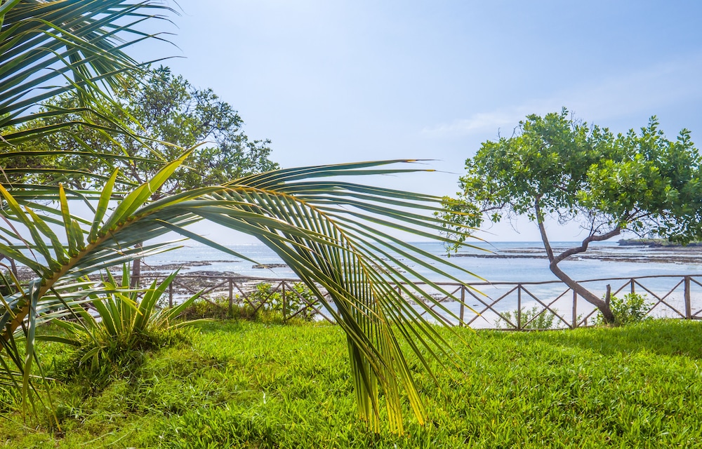 Azao Resort & Spa, Zanzibar 31/50