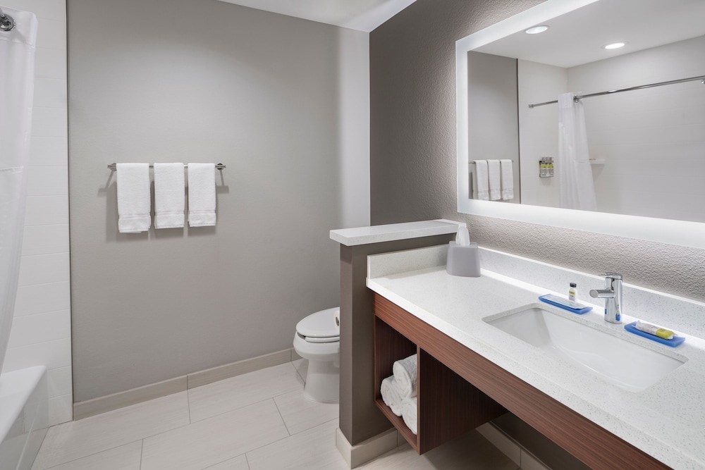 Holiday Inn Express And Suites Odessa I-20 13/37